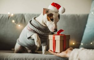 Cadeaus voor huisdieren